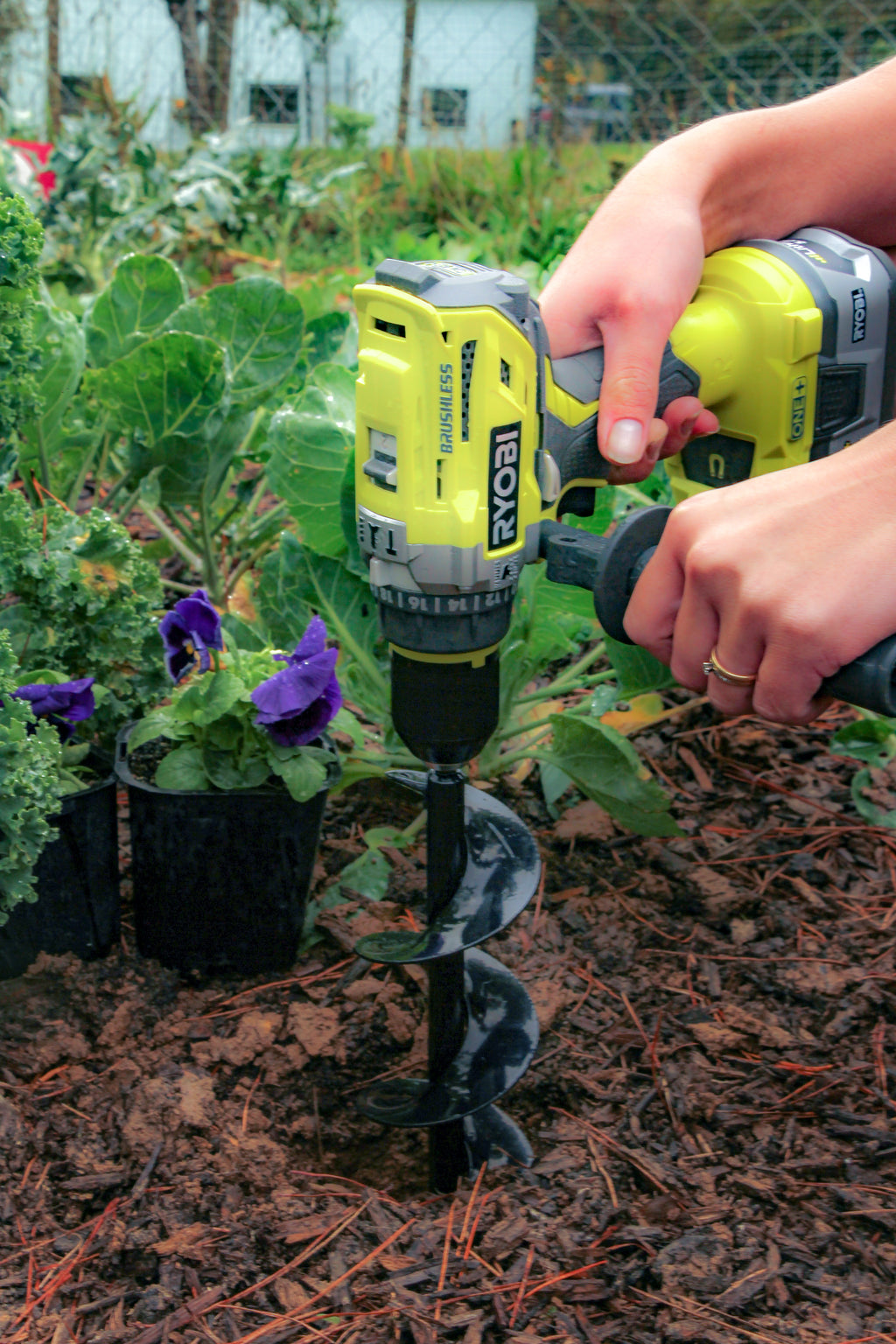 Ezyplanter Auger in Action